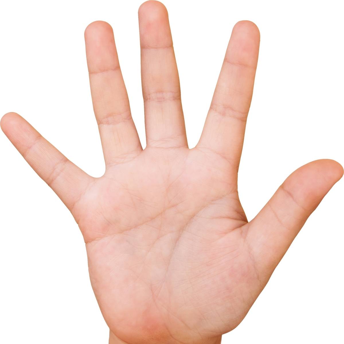 An image of a hand spread out showing five fingers